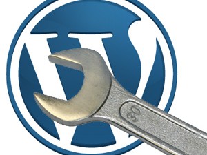 correggere allineamento immagini wordpress